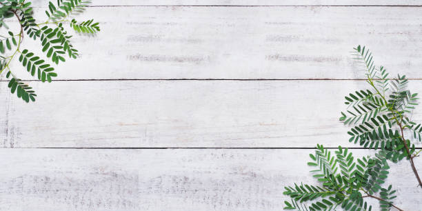 istock green leaves on white vintage wood 995843604