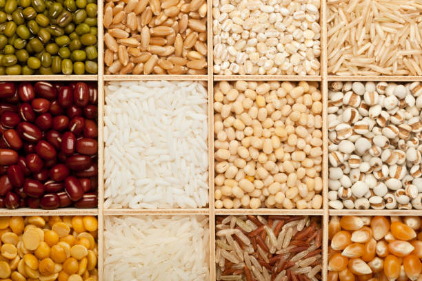 Different types of grains and beans Closeup of different types of grains and beans Gram of Carbohydrates stock pictures, royalty-free photos & images