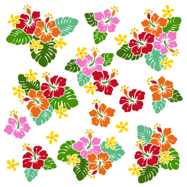 ilustraciones, imágenes clip art, dibujos animados e iconos de stock de ilustración de flor de hibisco, - hawaiian orchid