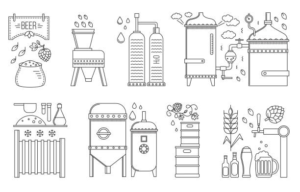 ilustrações, clipart, desenhos animados e ícones de fase de produção de cerveja - active ingredients