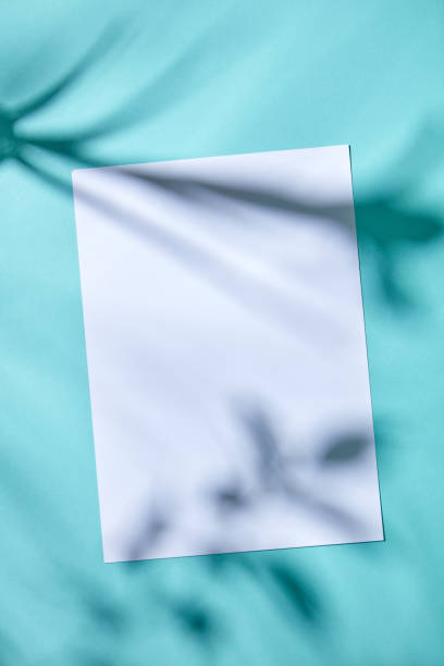 istock White paper and space for text on blue paper background with leaves shadows 995910692