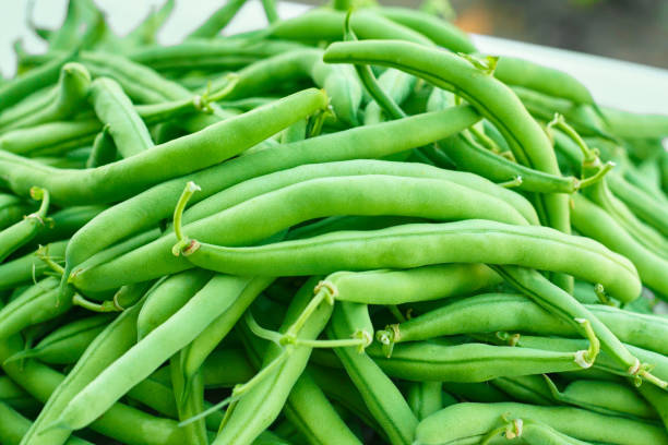 istock Green beans, natural fresh product on white background 995922144