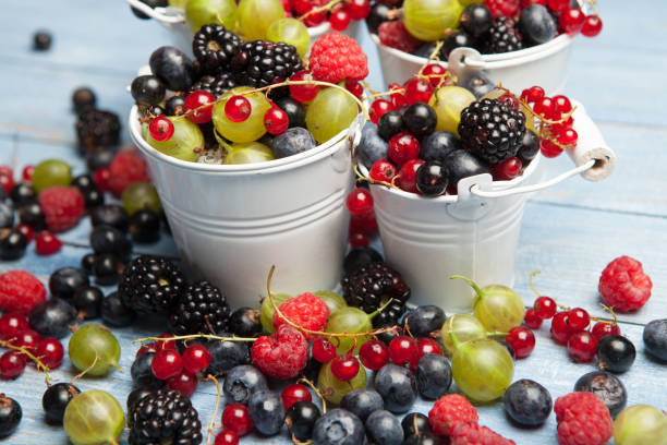 various fresh summer berries. top view. berries mix fruit color food dessert berries.antioxidants, detox diet, organic fruits. - 5934 imagens e fotografias de stock