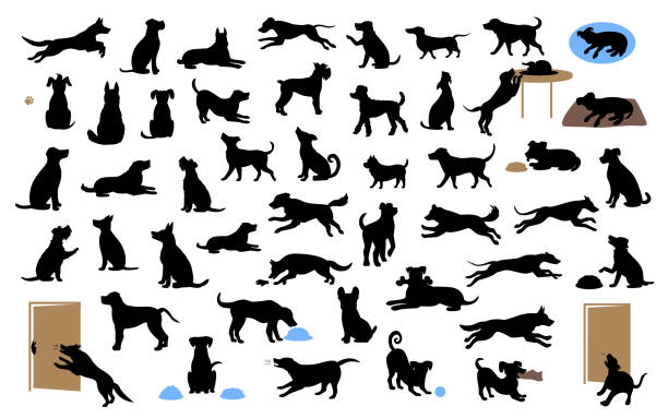 ilustrações, clipart, desenhos animados e ícones de silhuetas de cães diferentes definido, animais de estimação andar, sentar, jogar, comer, roubar comida, latir, proteger a correr e saltar, ilustração vetorial isolado - dog jumping