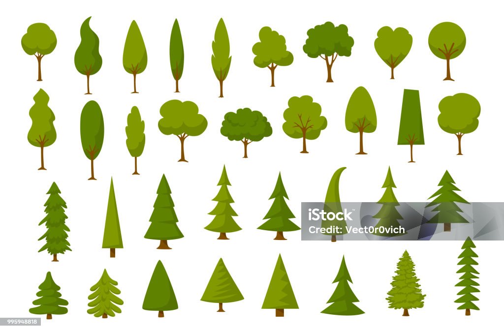 different cartoon park forest pine fir trees set Tree stock vector