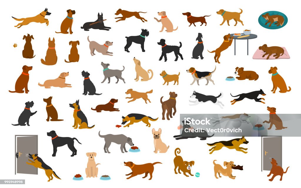 different dog breeds and mixed set, pets play running jumping eating sleeping, sit lay down and walk, steal food, bark, protect. different dog breeds and mixed set, pets play running jumping eating sleeping, sit lay down and walk, steal food, bark, protect. isolated  cartoon vector illustration graphic Dog stock vector