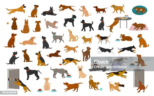 Different Dog Breeds And Mixed Set Pets Play Running Jumping Eating Sleeping Sit Lay Down And Walk Steal Food Bark Protect Stock Illustration - Download Image Now