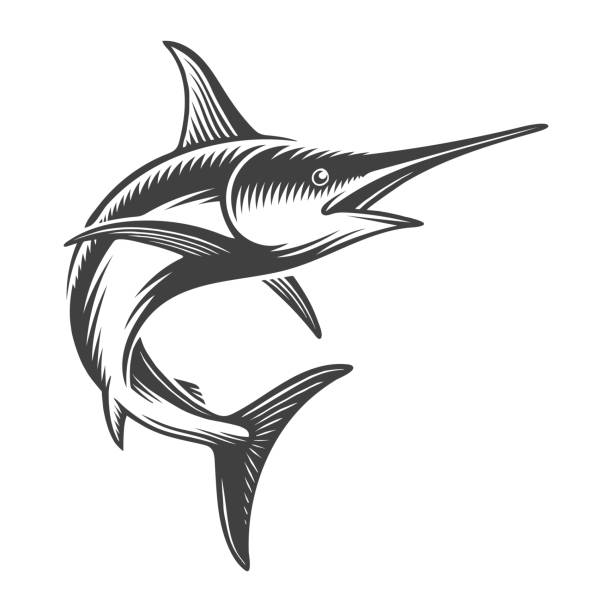 illustrations, cliparts, dessins animés et icônes de concept d’espadon océan vintage - swordfish