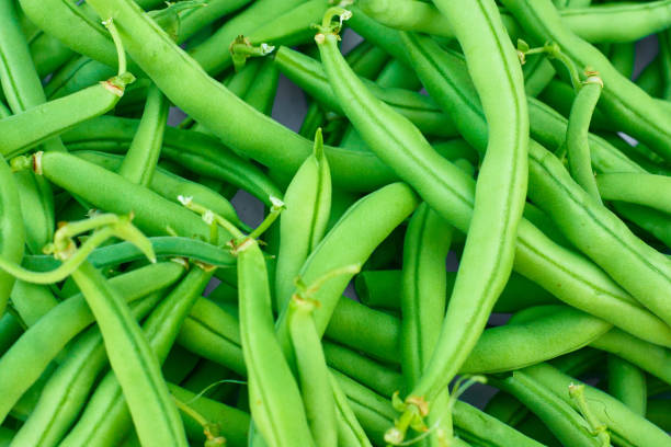 istock Asparagus bean. Green beans on white background 995953730