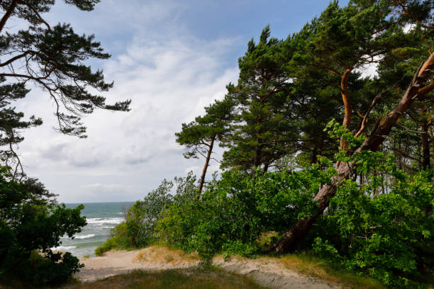 istock Baltic Coast close to Klaipeda, Lithuania, Baltic Sea 995954206