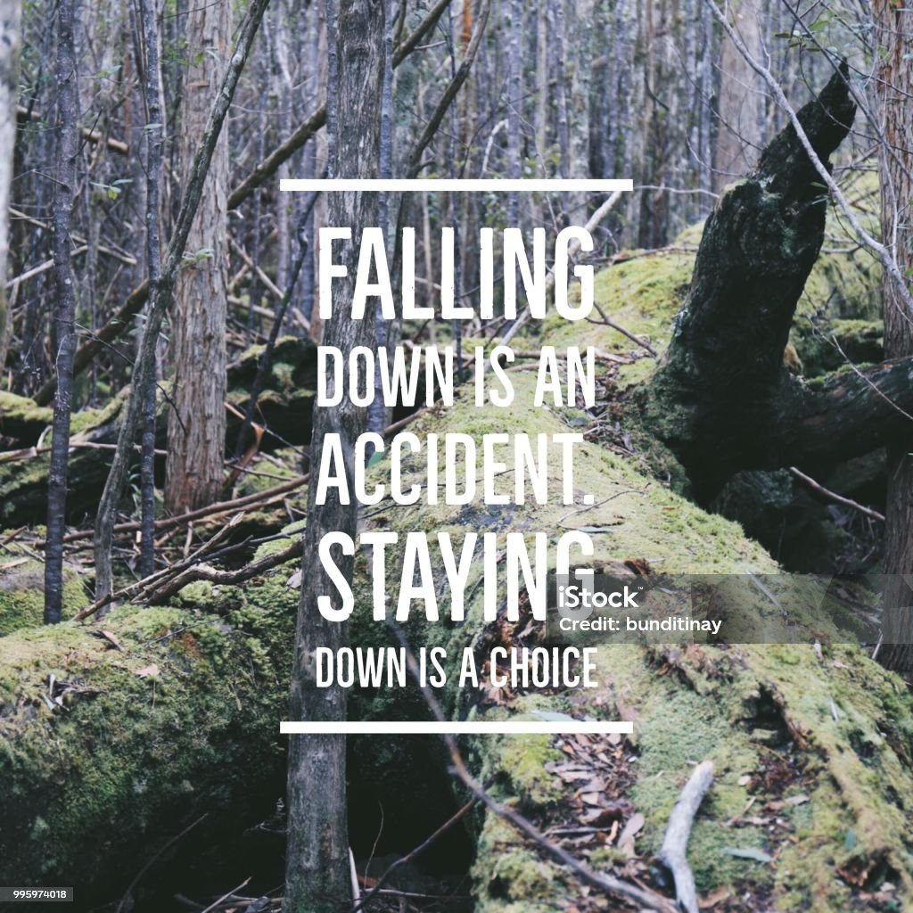 インスピレーションの引用「倒れは事故です。ビンテージフィルターで森の背景に「ダウンを維持する」という選択です - 原動力のロイヤリティフリーストックフォト