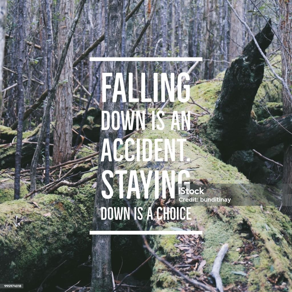 Inspirational quote "Falling down is an accident.Staying down is a choice"on forest background with vintage filter Motivation Stock Photo