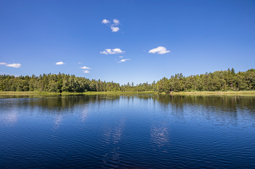 A calm lake on a sunny summers day. There are some white clouds in the blue sky, and the view shows a pine forest across the water on  the horizon. Photo from Sweden, just outside Stockholm.