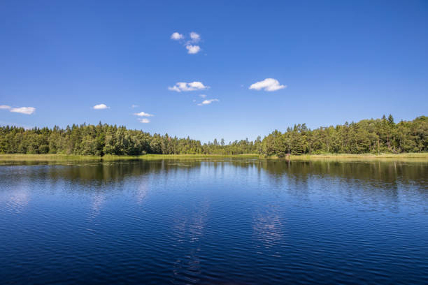 Scandinavian lake view A calm lake on a sunny summers day. There are some white clouds in the blue sky, and the view shows a pine forest across the water on  the horizon. Photo from Sweden, just outside Stockholm. lake stock pictures, royalty-free photos & images