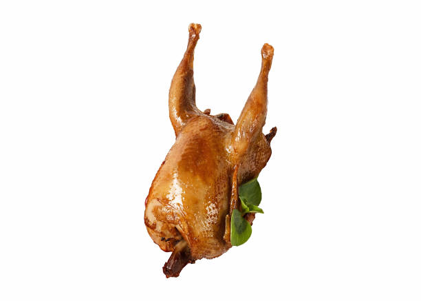 Baked quail isolated on white background. Green basil.