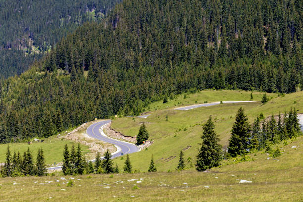 istock Summer view of Transalpina mountain road 995993430