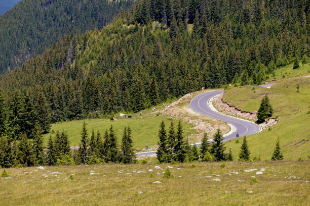 istock Summer view of Transalpina mountain road 995995706
