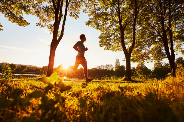 uomo che corre nel parco durante il soleggiato tramonto estivo - jogging foto e immagini stock