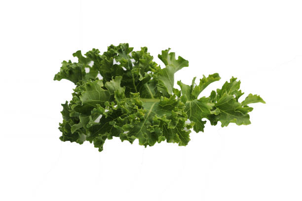 istock green fresh kale leaf isolated on white background 996021372