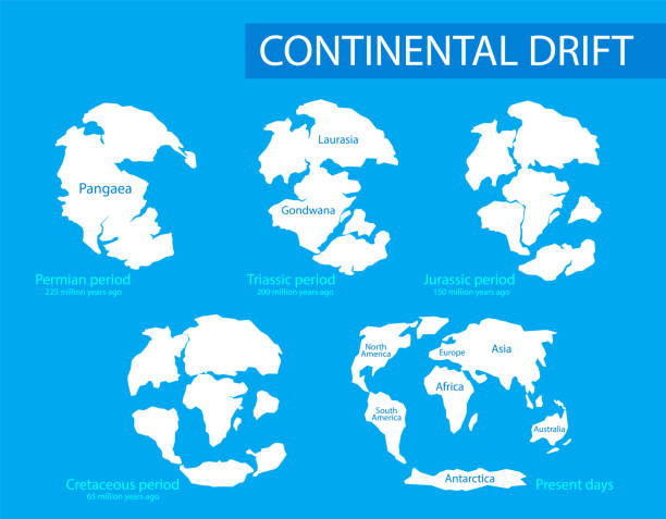 illustrazioni stock, clip art, cartoni animati e icone di tendenza di deriva dei continenti. illustrazione vettoriale delle terre continentali sul pianeta terra in diversi periodi da 250 mya a present in stile piatto. pangea, laurasia, gondwana, continenti moderni. - continents globe continent tectonic