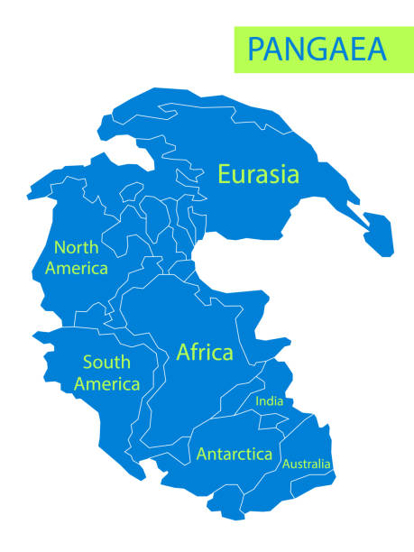 pangaea lub pangea. wektorowa ilustracja superkontynentu, który istniał w późnych epokach paleozoicznych i wczesnych mezozoicznych. mapa w płaskim stylu. element do projektowania, drukowania, edukacji. plakat. - pangaea map earth triassic stock illustrations