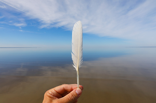 Pärnu beach with a white feather