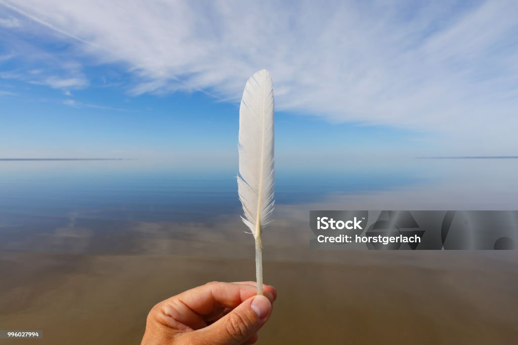 Beach at Pärnu, Estonia, Baltic Nations Pärnu beach with a white feather Feather Stock Photo
