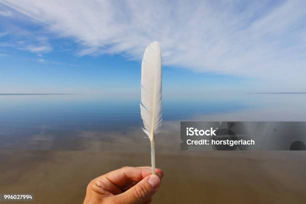 Beach At Pärnu Estonia Baltic Nations Stock Photo - Download Image Now - Feather, Baltic Countries, Baltic Sea