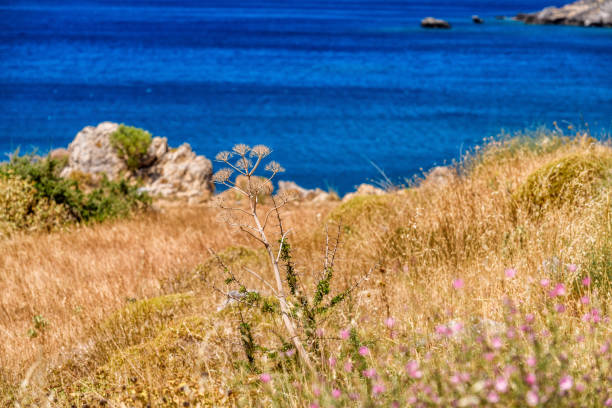 Amazing Ammoudi Beach with turquoise water and beautiful view in Crete island, Greece .