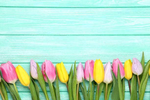istock Bouquet of tulips on mint wooden table 996055966