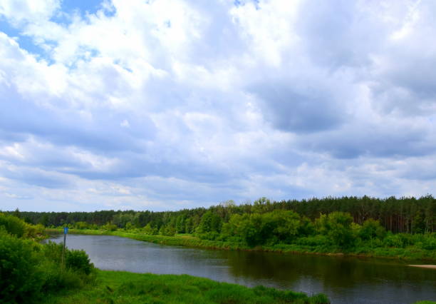 istock Vast deep river flowing through two coasts filled to the brim with grass, shrubs, and forests with a cloudy stormy sky over the horizon seen during a warm summer day 996061144