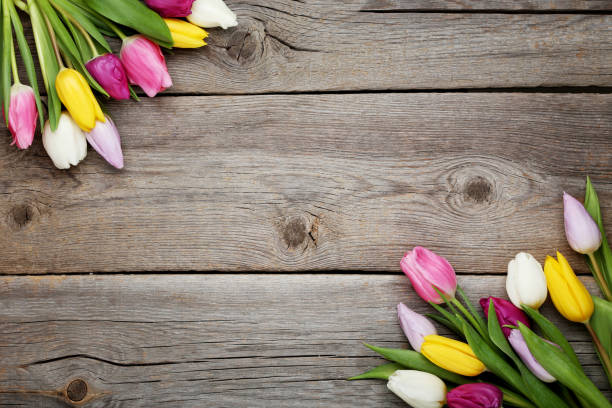 istock Bouquet of tulips on grey wooden table 996061602