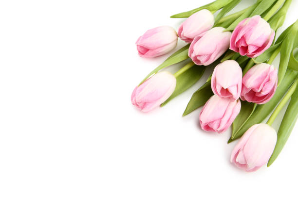 istock Bouquet of pink tulips on white background 996062752
