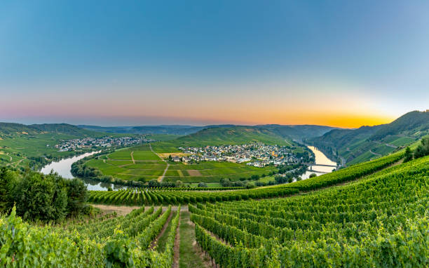 famous moselle sinuosity at  Leiwen called Zummet hights famous moselle sinuosity at  Leiwen called Zummet hights in morning light france village blue sky stock pictures, royalty-free photos & images
