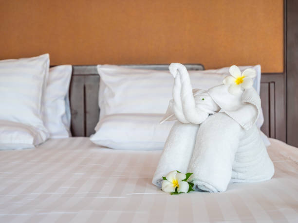 istock White elephant towel and comfortable pillow on bed decoration in hotel bedroom interior 996067374