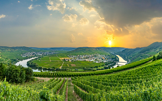 famous moselle sinuosity at  Leiwen called Zummet hights