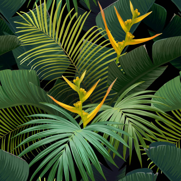 istock Seamless hand drawn tropical vector pattern with bird of paradise flowers and exotic palm leaves on dark background. Vector background 996078976