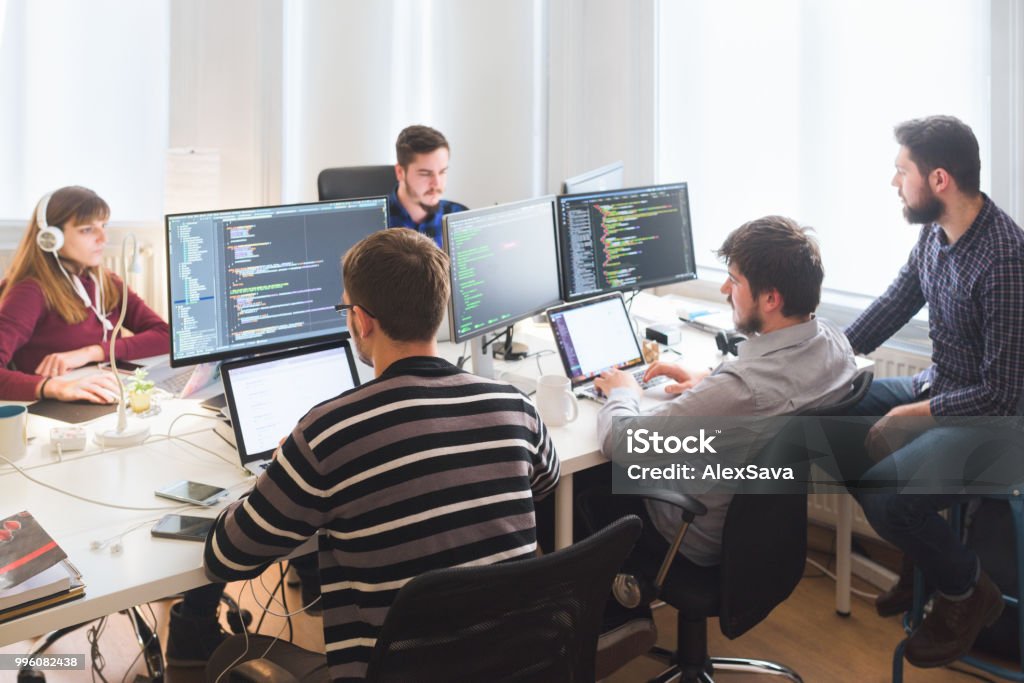 Software developing team working in the office Group of software developers sitting at desktop computers being focused on their work Computer Programmer Stock Photo