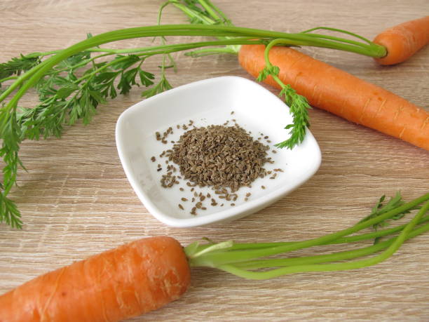 How To Grow Carrots From Seeds At Home