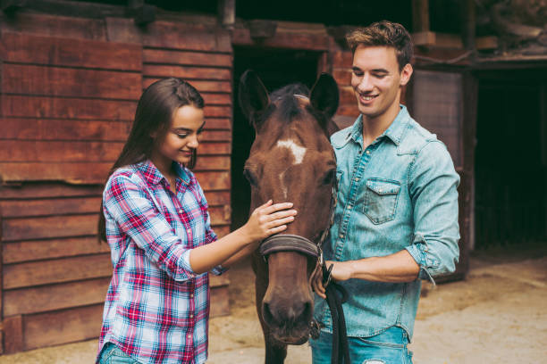 istock Attractive young couple stroking a brown horse 996083766