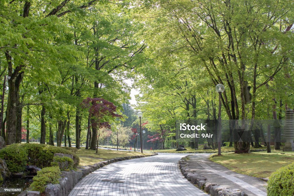 passerelle avec lampadaire dans jardin. - Photo de Parc naturel libre de droits