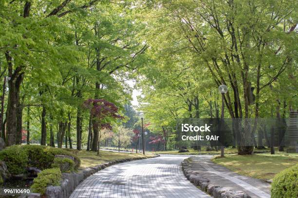 Photo libre de droit de Passerelle Avec Lampadaire Dans Jardin banque d'images et plus d'images libres de droit de Parc naturel - Parc naturel, Parc public, Voie piétonne