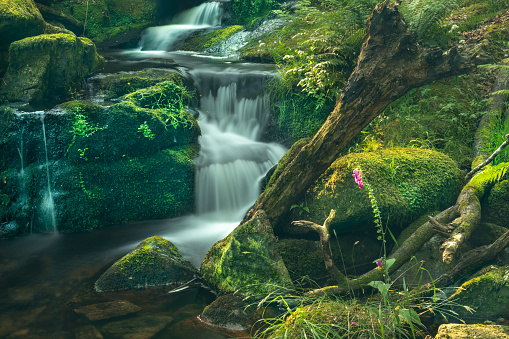 Venford Reservoir\nDartmoor\nDevon\nEngland\nJuly 06, 2018\nSmall waterfall in a beautiful Dartmoor stream called Venford Brook