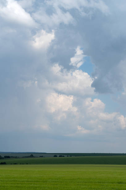 regione della podolia, ucraina. paesaggio con nuvole drammatiche sul campo agricolo - storm wheat storm cloud rain foto e immagini stock