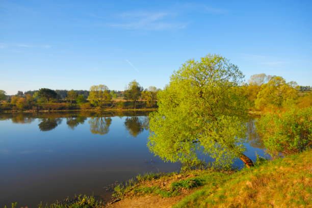 istock Silent lake with trees on lakeshore 996115492