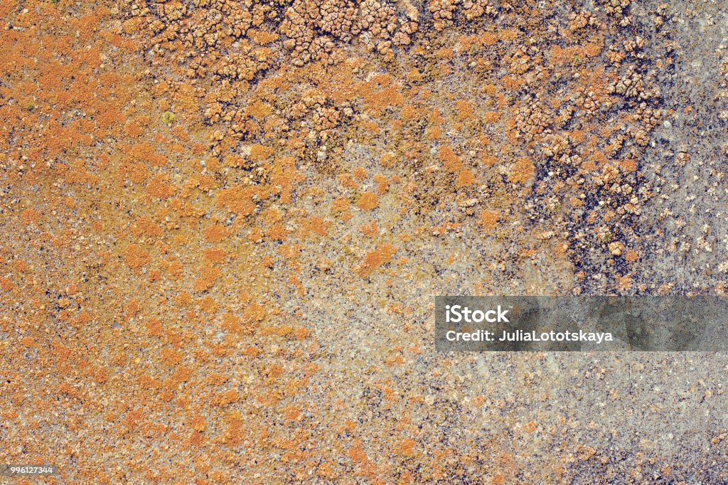 Concrete Rusted Material Rusty Concrete Background Texture Stock Photo - Download Image Now ...