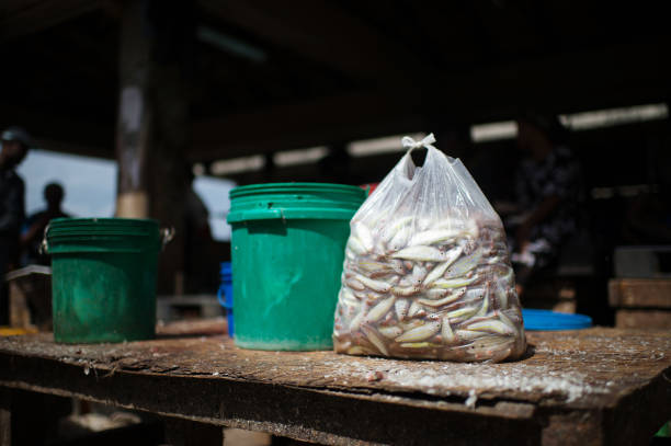 A plastic bag full of freshly caught fish ready to be sold at the fish market of Dar es Salaam Tanzania