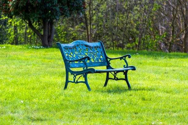 istock The blue bench on the lawn and the trees behind it. 996129054
