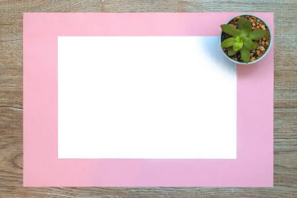 Blank on a white paper with pink paper and succulent plant on a desk. Minimalist concept