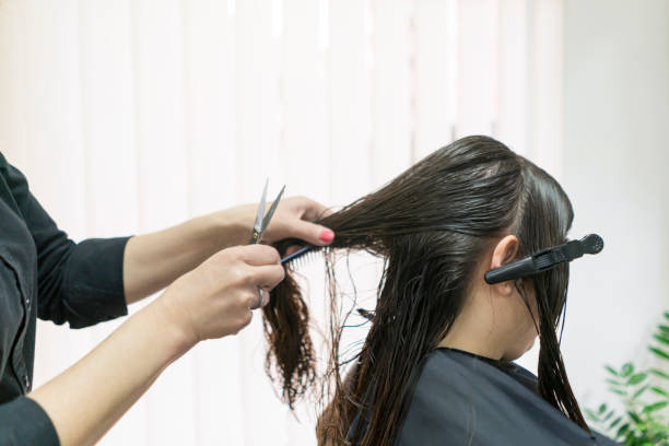 istock Combing hair and preparing for cutting 996155890